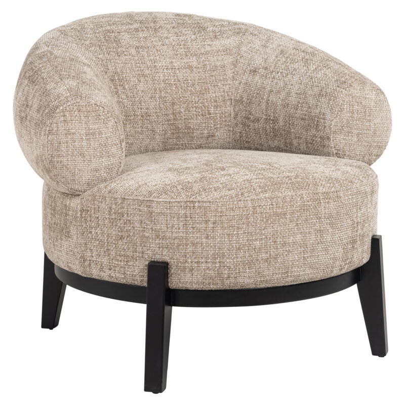 S4704_DESERT_RENEGADE-1