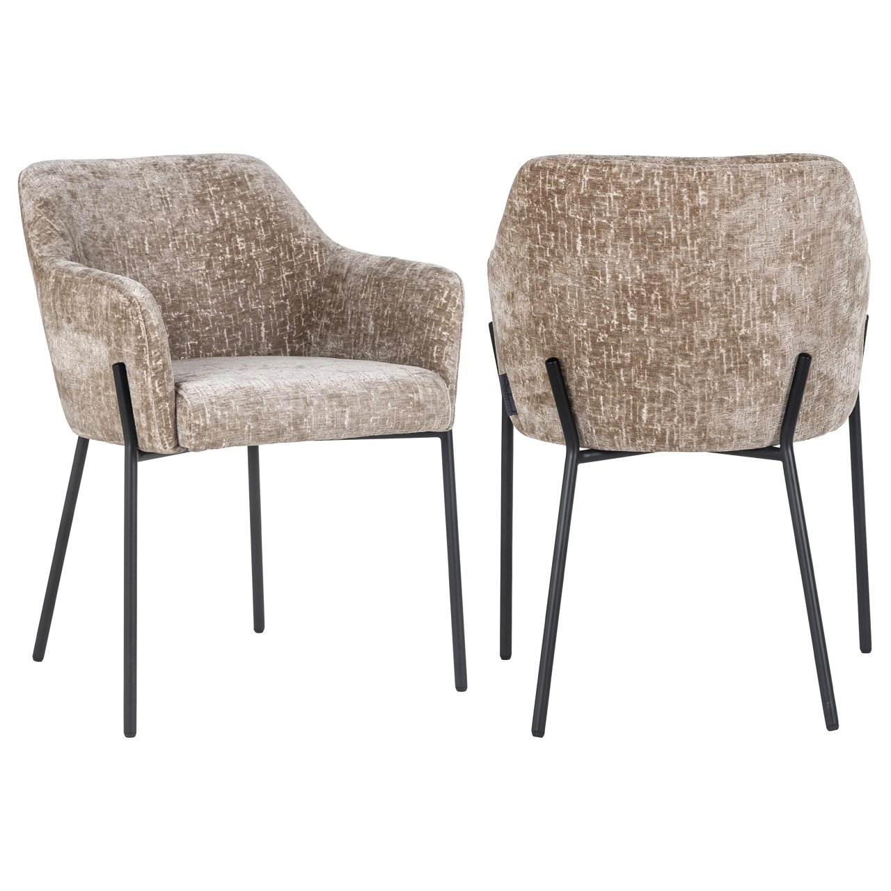 S4581_SHITAKE_ISLAND-0