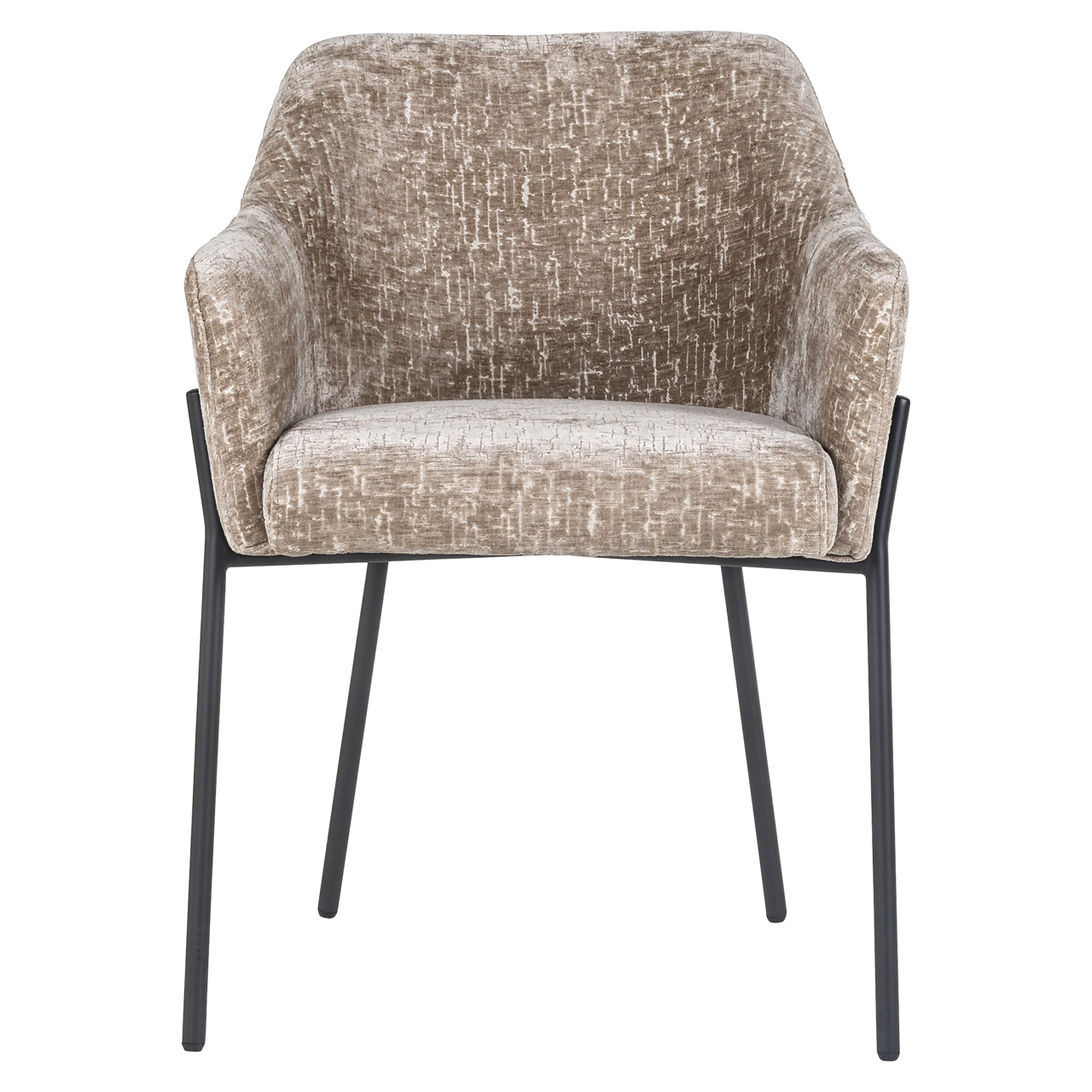 S4581_SHITAKE_ISLAND-5