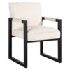 S4707_WHITE_CHENILLE-1