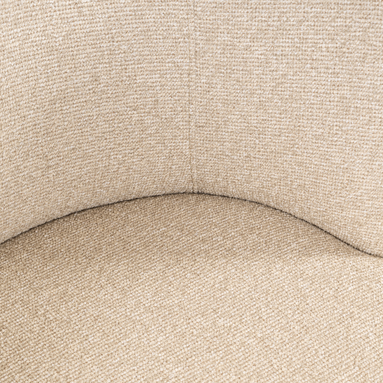 S4779 BISCOTTI_S4779_BISCOTTI-13.jpg S4779_BISCOTTI-13