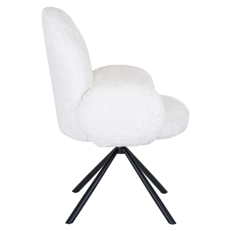 S4617_WHITE_SHEEP-2