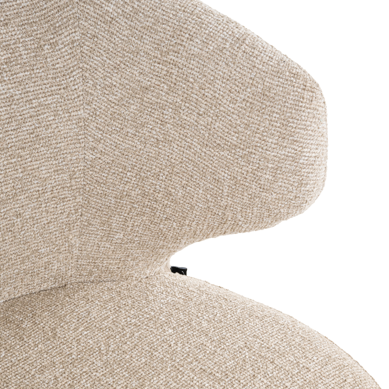 S4649_BISCOTTI-09-v1