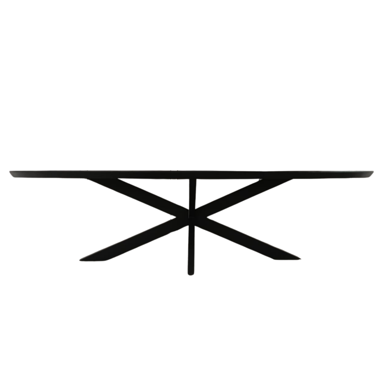 Ovale eettafel Brandy Zwart Mangohout 240 cm - Image 3