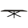 STF-519_1 Rechthoekige eettafel Denver Zwart Mangohout 220 cm - Image 2