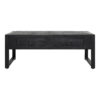 STF-806_2 Salontafel Boaz met twee lades Zwart Mangohout 120 cm - Image 3