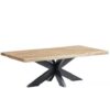 STF-9203_1 Boomstam salontafel Live Edge Naturel Mangohout 120 cm - Image 2