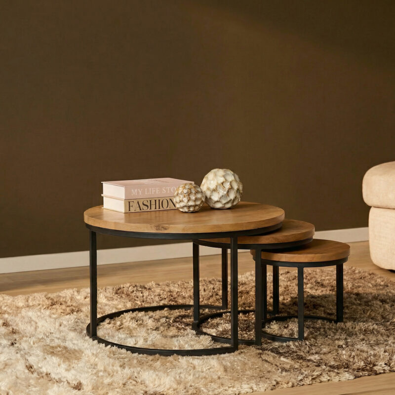 Salontafel set Dakota Naturel Mangohout 70 cm - Image 1