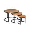 STF-3110_1 Salontafel set Dakota Naturel Mangohout 70 cm - Image 2