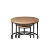 STF-3110_2 Salontafel set Dakota Naturel Mangohout 70 cm - Image 3