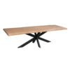 STF-1121_2 Boomstamtafel Dakota Naturel Mangohout 240 cm - Image 3