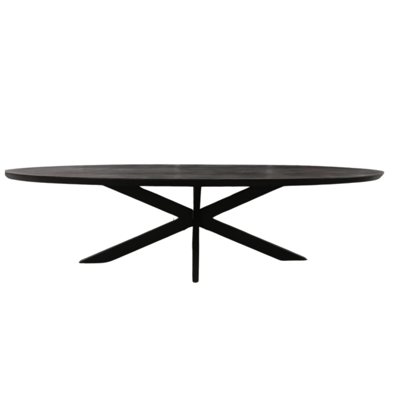 Ovale eettafel Brandy Zwart Mangohout 300 cm - Image 2