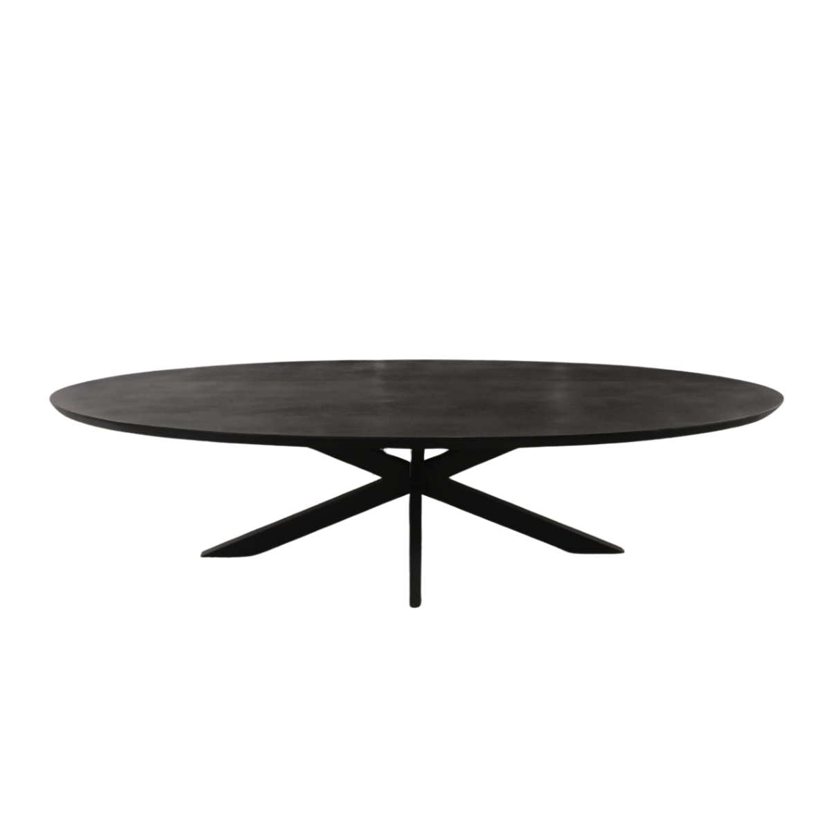 Ovale eettafel Brandy Zwart Mangohout 300 cm - Image 3