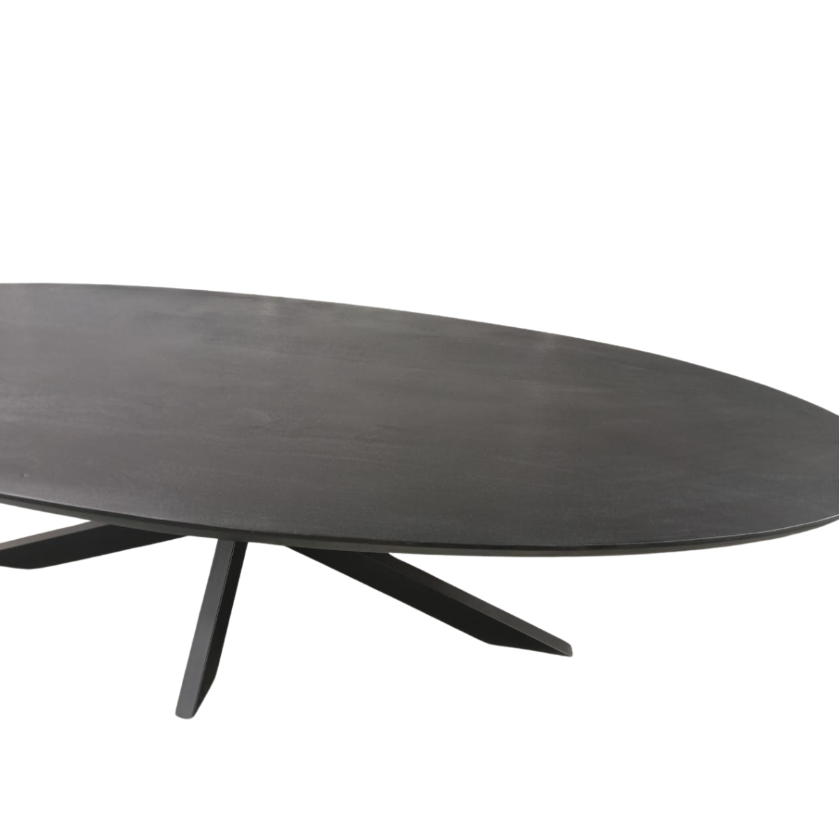 Ovale eettafel Brandy Zwart Mangohout 300 cm - Image 4