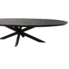 STF-1513_4 Ovale eettafel Brandy Zwart Mangohout 300 cm - Image 5
