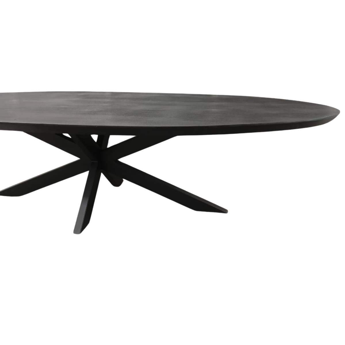 Ovale eettafel Brandy Zwart Mangohout 300 cm - Image 5