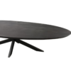STF-1513_5 Ovale eettafel Brandy Zwart Mangohout 300 cm - Image 6