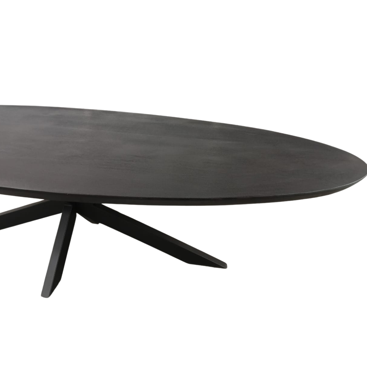 Ovale eettafel Brandy Zwart Mangohout 300 cm - Image 6