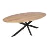 STF-2125_2 Ovale eettafel Ferris Naturel Eikenhout 280 cm - Image 3