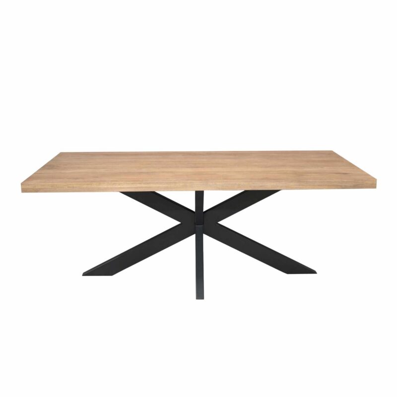 Rechthoekige eettafel Dakota Naturel Mangohout 200 cm - Image 2