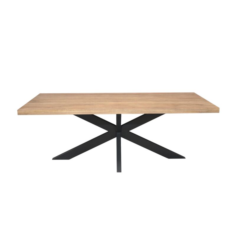 Rechthoekige eettafel Dakota Naturel Mangohout 220 cm - Image 2