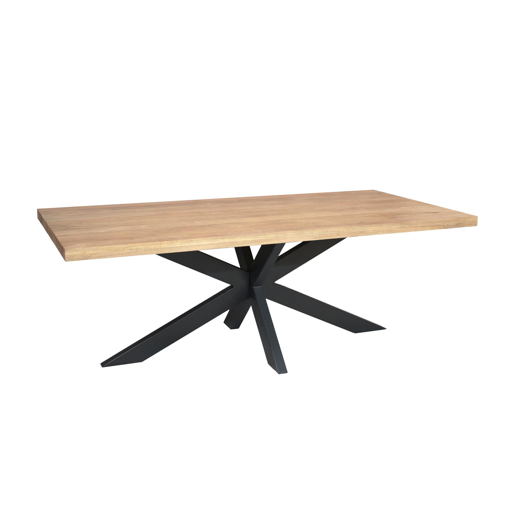 Rechthoekige eettafel Dakota Naturel Mangohout 220 cm - Image 3