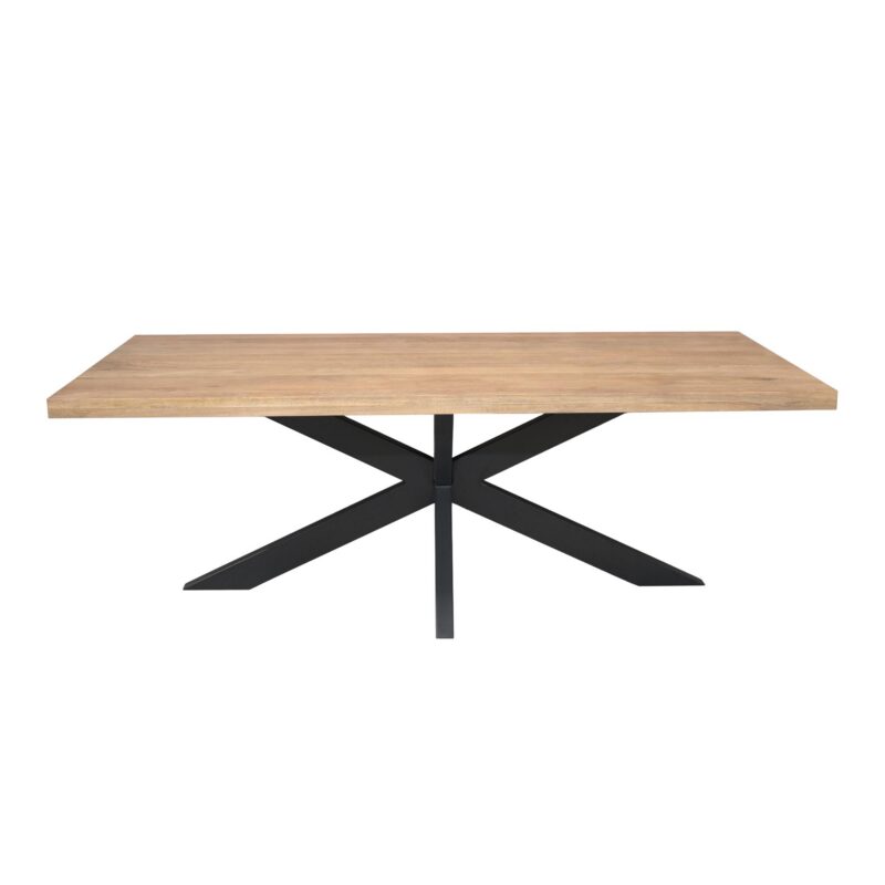 Rechthoekige eettafel Dakota Naturel Mangohout 240 cm - Image 2