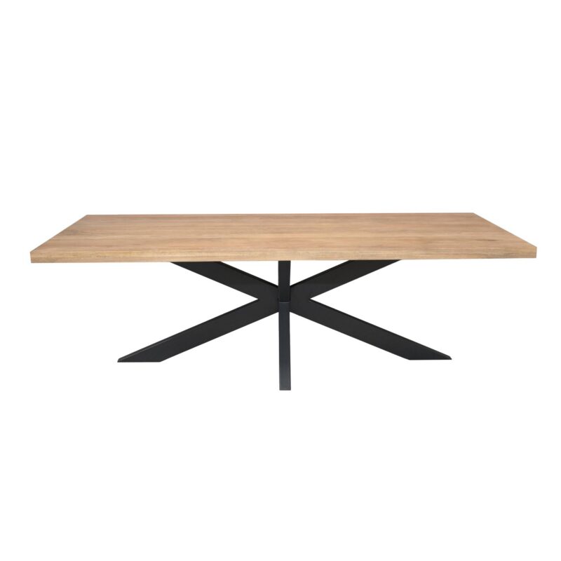 Rechthoekige eettafel Dakota Naturel Mangohout 300 cm - Image 2