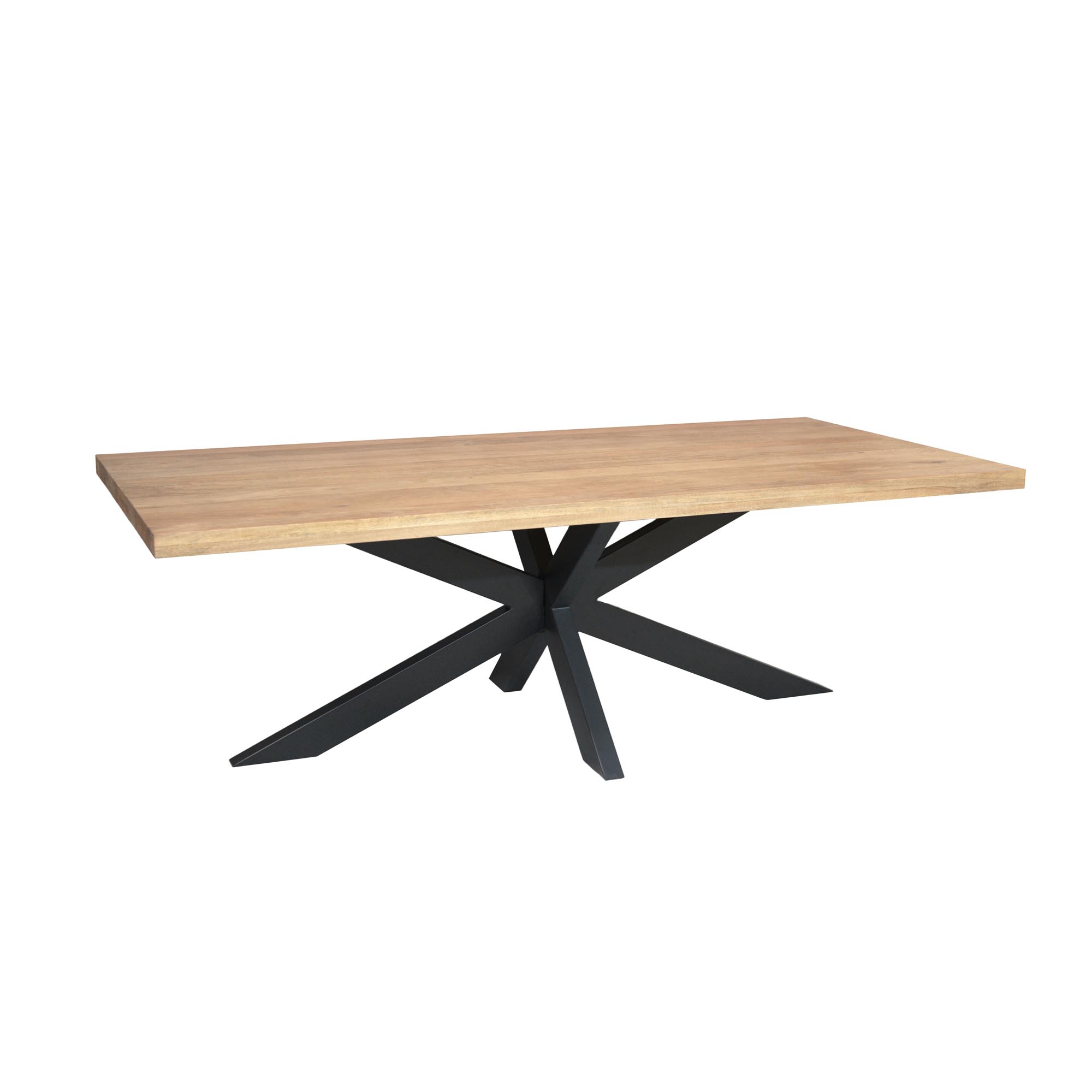 Rechthoekige eettafel Dakota Naturel Mangohout 300 cm - Image 3