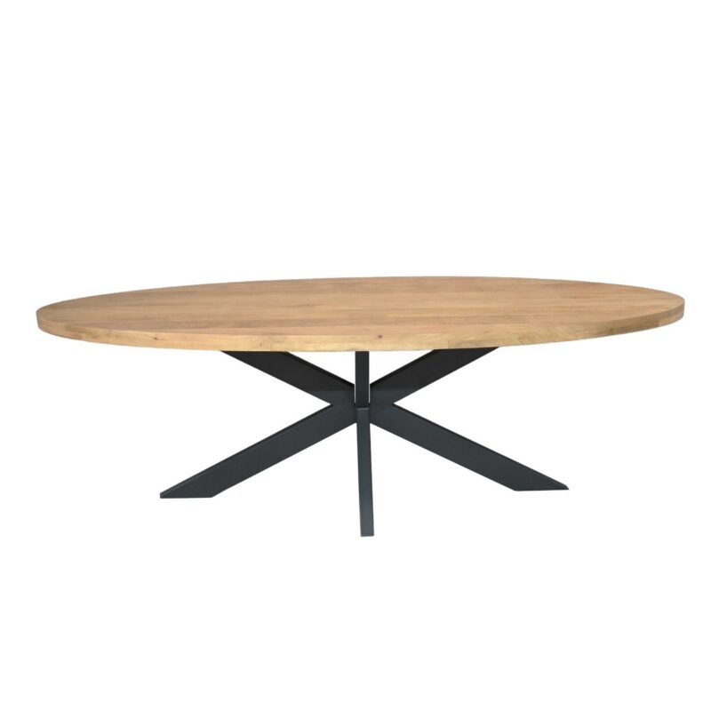 Ovale eettafel Dakota Naturel Mangohout 210 cm - Image 2
