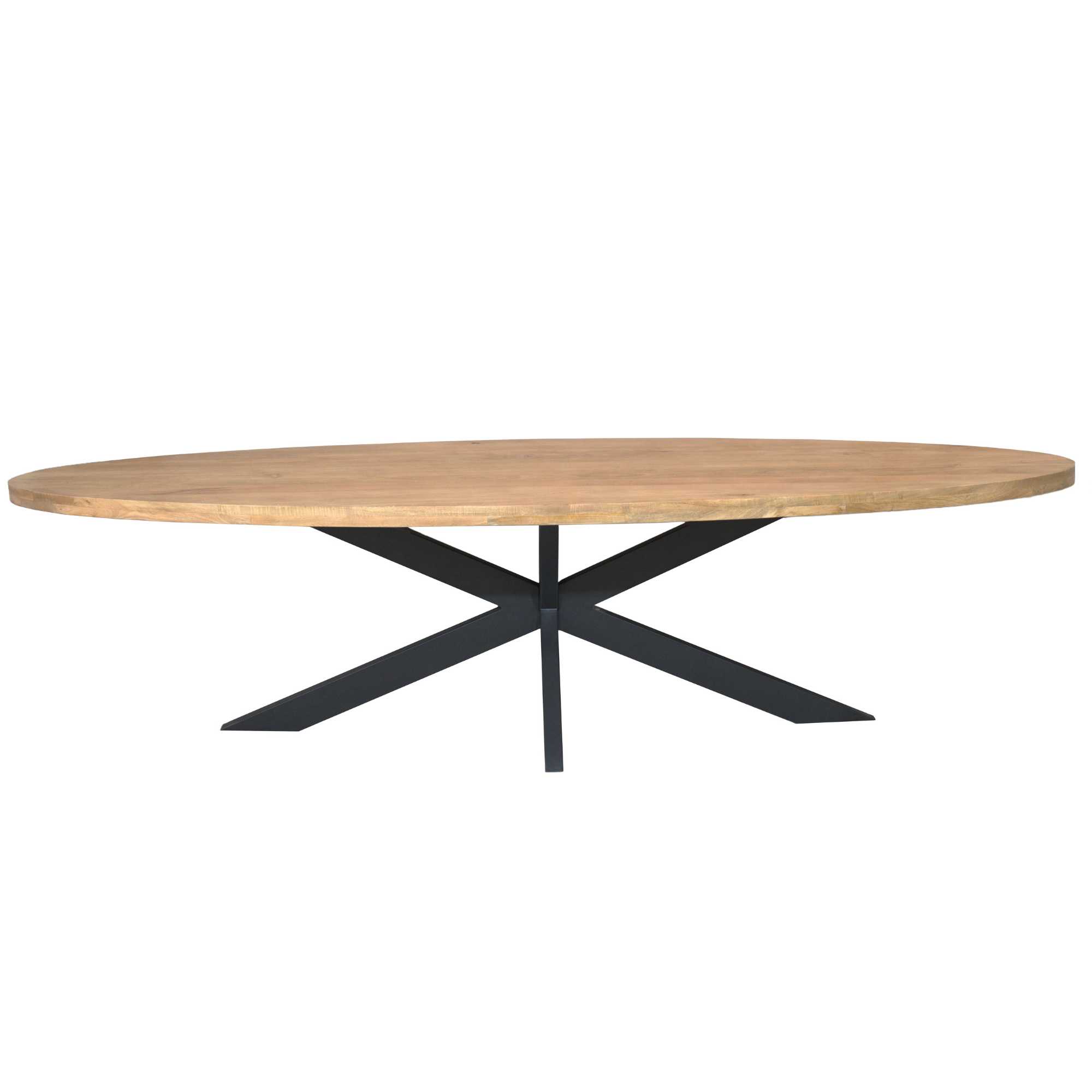 Ovale eettafel Dakota Naturel Mangohout 300 cm - Image 2