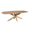 STF-2616_1 Deens ovale eettafel Nina Naturel Mangohout 210 cm - Image 2