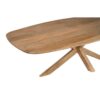 STF-2617_2 Deens ovale eettafel Nina Naturel Mangohout 240 cm - Image 3