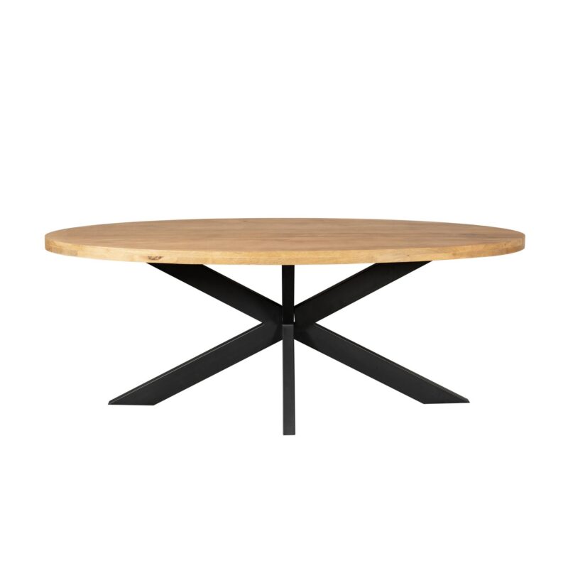 Ovale eettafel Dakota Naturel Mangohout 180 cm - Image 2