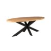 STF-526_2 Ovale eettafel Denver Mangohout 210 cm - Image 3