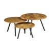 STF-2014_2 Ronde salontafel set Ohio Naturel Mangohout 70 cm - Image 3
