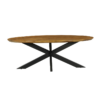 STF-13543_5 Ovale eettafel Brandy Naturel Mangohout 210 cm - Image 6