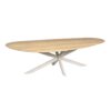 STF-1063_1 Organische eettafel Cloud Naturel Poot Zand Eikenhout 280 cm - Image 2