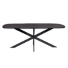 STF-503_1 Deens ovale eettafel Elegance Zwart Mangohout 200 cm - Image 2