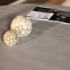 STF-2904_2 Ronde eettafel Solana Taupe Mangohout 150 cm - Image 3