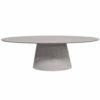 STF-2906_4 Ovale eettafel Solana Taupe Mangohout 240 cm - Image 5