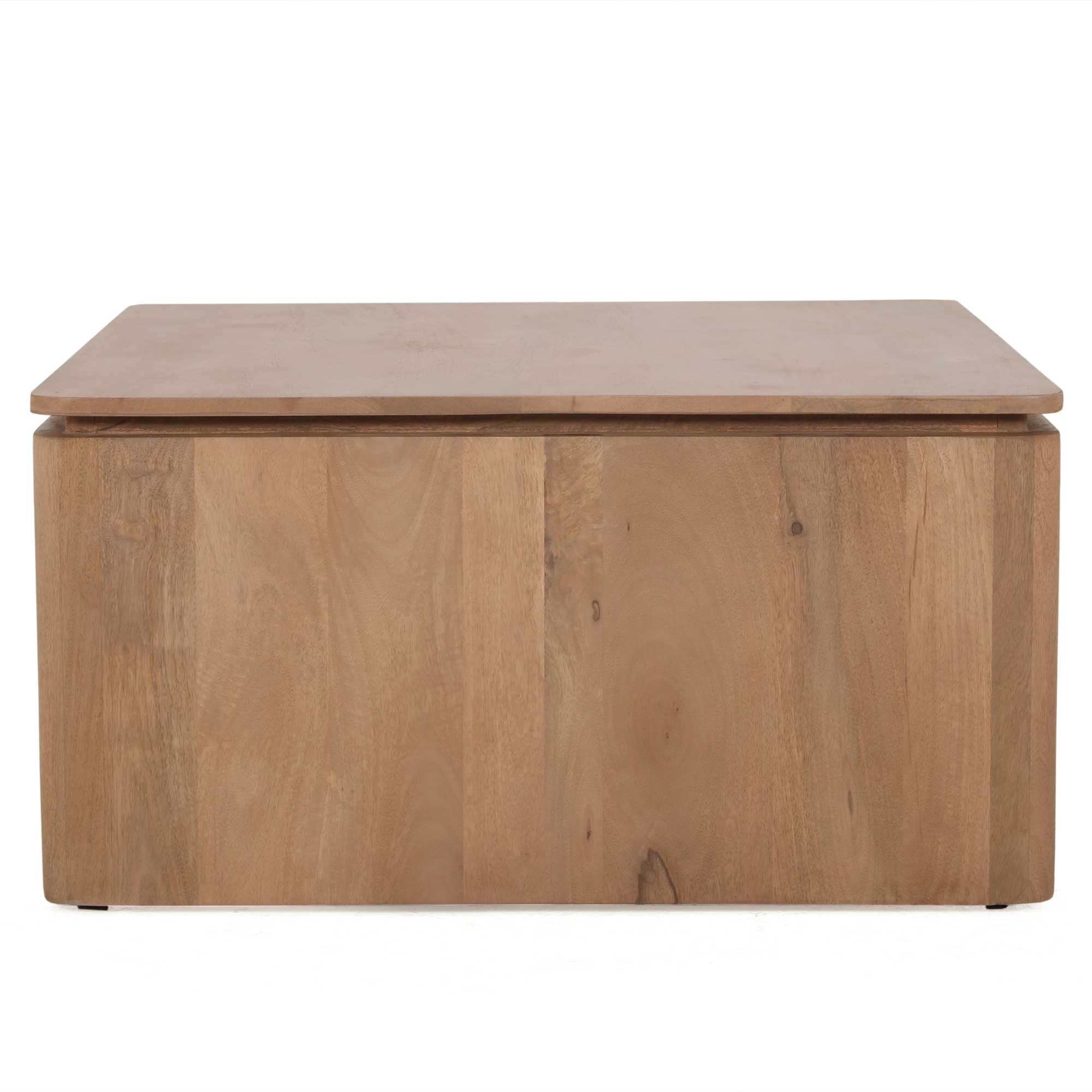STF-3710_7 Vierkante Salontafel Dallas Naturel Mangohout 80 cm - Image 8