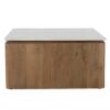 STF-3710_23 Vierkante Salontafel Dallas Naturel Mangohout 80 cm - Image 24