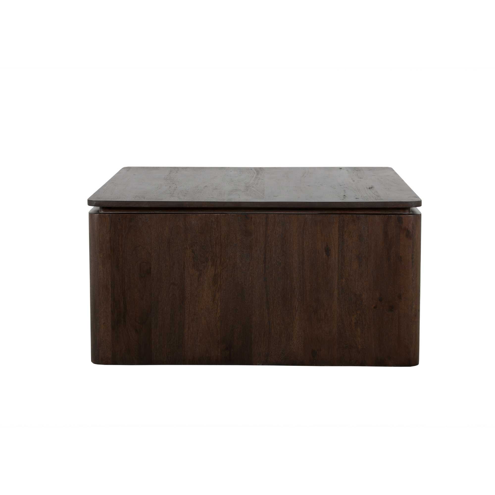Vierkante Salontafel Dallas Bruin Mangohout 80 cm - Image 10