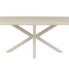 Image 4 for NEW - Tafel Noa 180x90 cm Deens Ovaal Baroque Beige - Grijs Voet